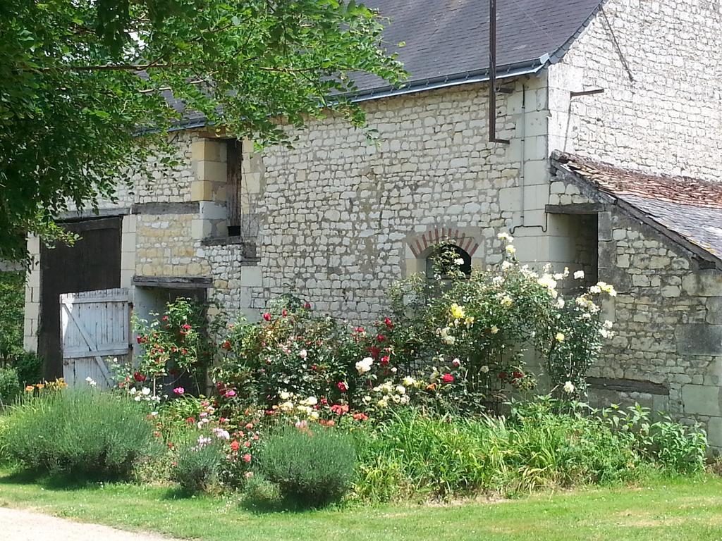La Cle Des Jardins Bed and Breakfast Nouâtre Eksteriør billede