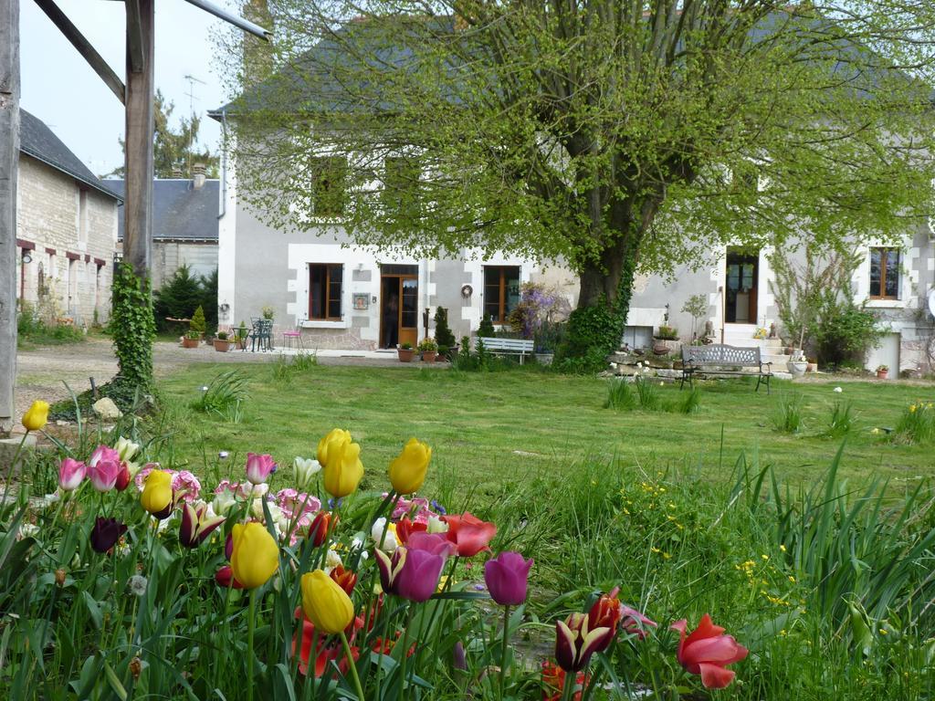 La Cle Des Jardins Bed and Breakfast Nouâtre Eksteriør billede