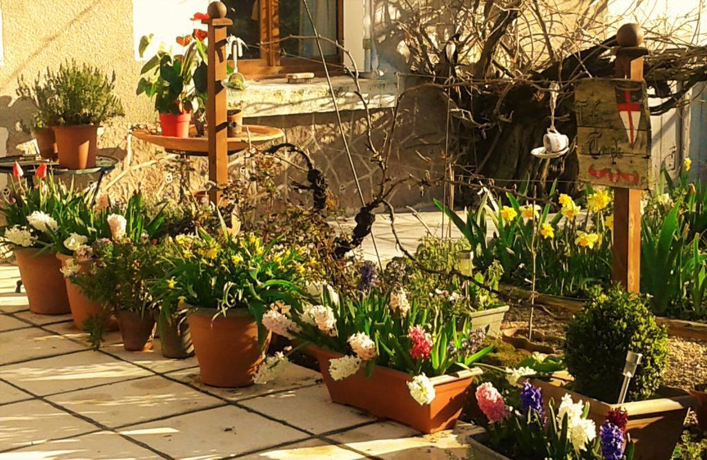 La Cle Des Jardins Bed and Breakfast Nouâtre Eksteriør billede